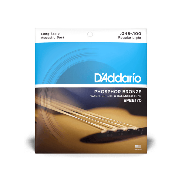 D'Addario Long Scale Acoustic Bass