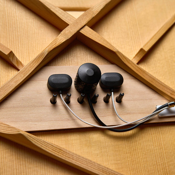 L.R. Baggs HiFi Duet