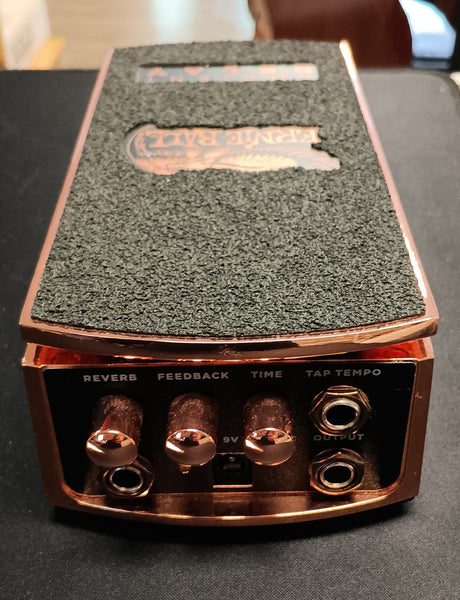 Ernie Ball Ambient Delay used