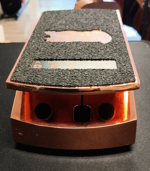 Ernie Ball Ambient Delay used