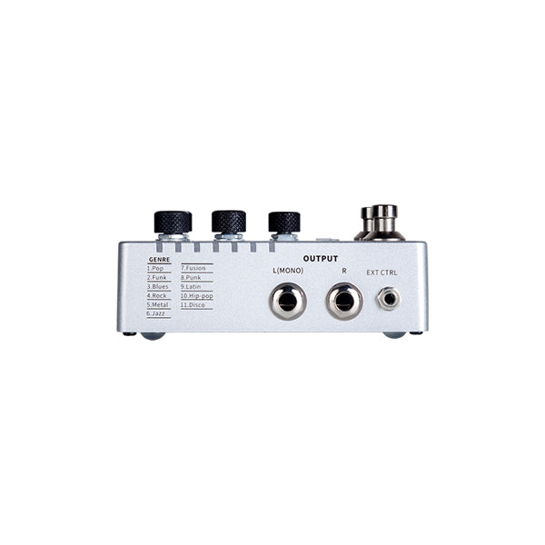 Mooer Groove Loop x2 – Moon Music Pro