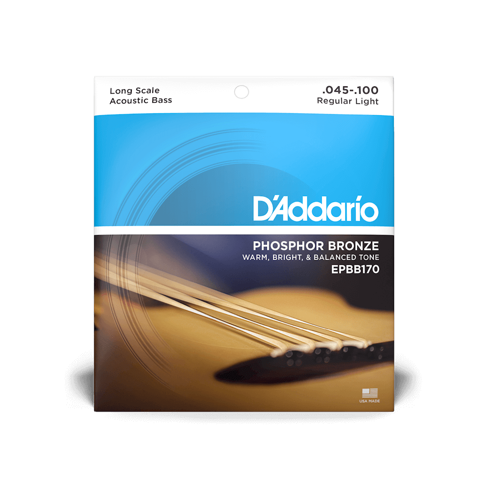 D'Addario Long Scale Acoustic Bass